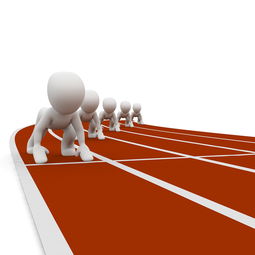 九游官网入口-中国篮球职业联赛赛事运营风险评估与管理对策分析，篮球赛事运营方案